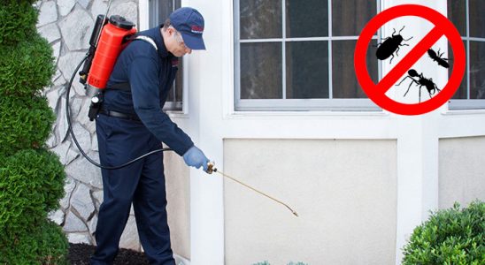 Ömerli Kemirgen İlaçlama böcek ilaçlama ve haşere kontrolü — ilaclama-tr.com